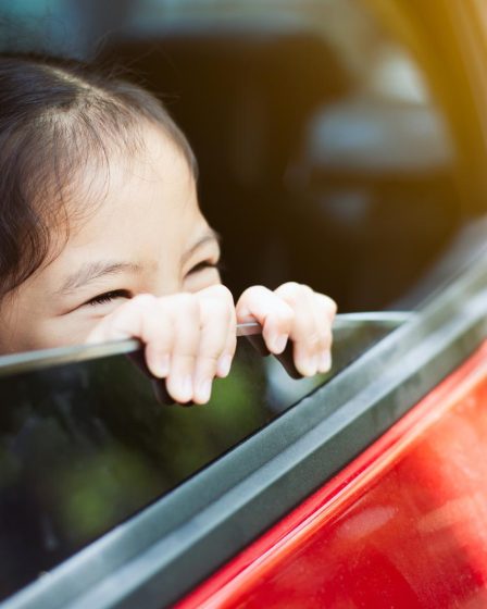 Pressione gomme auto