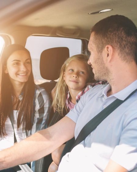 Problemi consegne auto